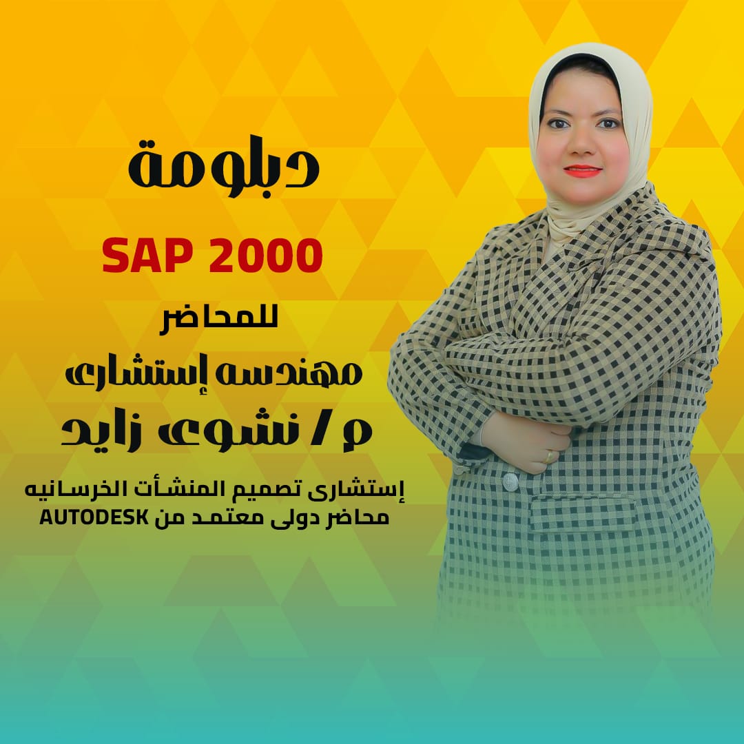SAP 2000
